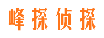 勃利市调查公司